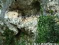 covadonga,casas de aldea rurales,casa rural ,casas de aldea,rurales,casa rural cangas de onis